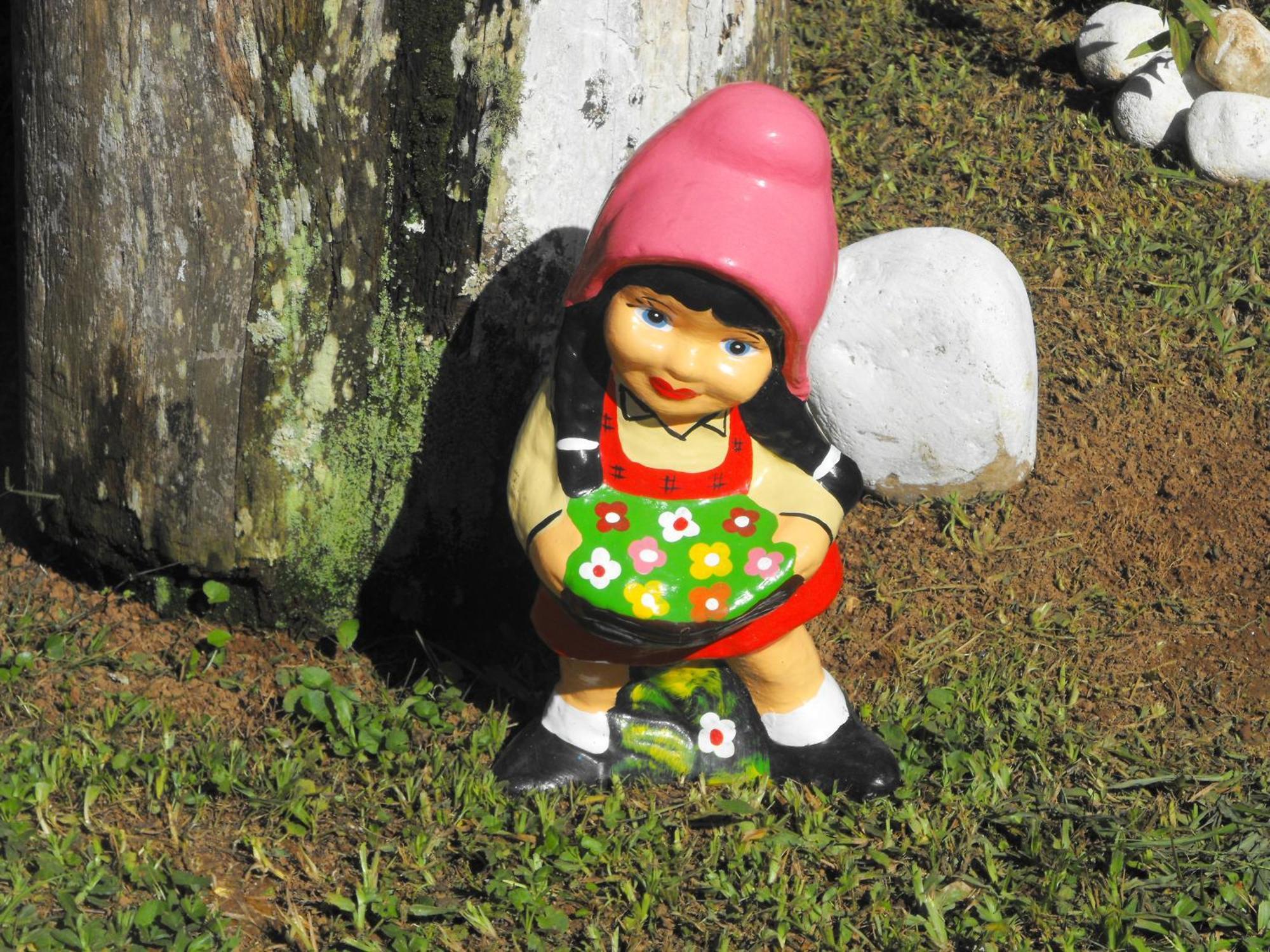 Pousada Cascata Dos Amores Teresópolis Εξωτερικό φωτογραφία