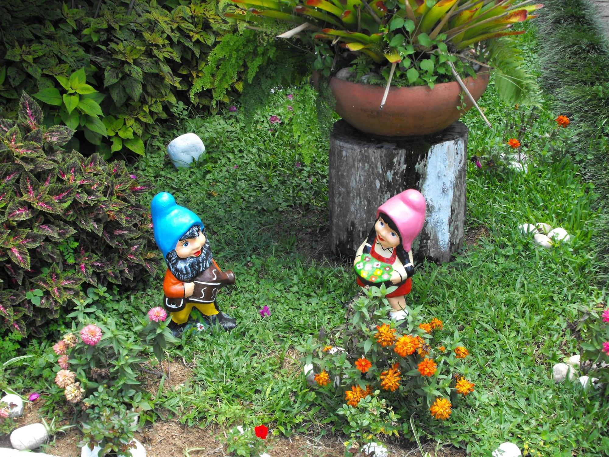 Pousada Cascata Dos Amores Teresópolis Εξωτερικό φωτογραφία
